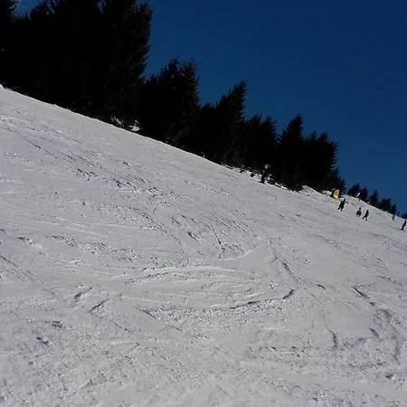 Sofi Yeti *