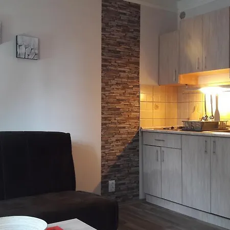 Apartment Sofi Yeti Kopaonik